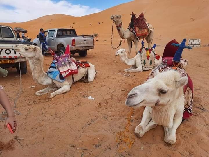 Assamar Tours Assamar Tours