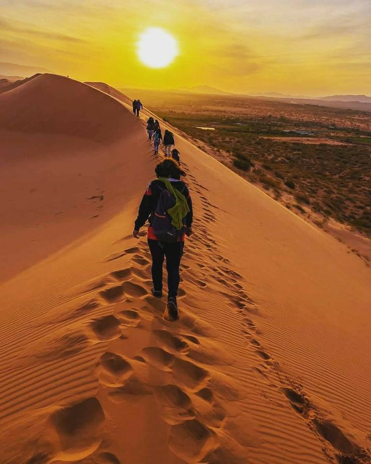 Assamar Tours Assamar Tours