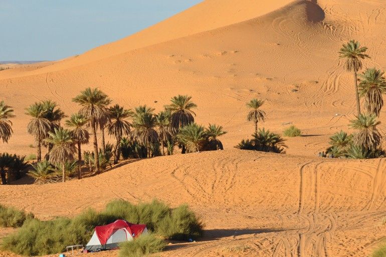 Assamar Tours Assamar Tours