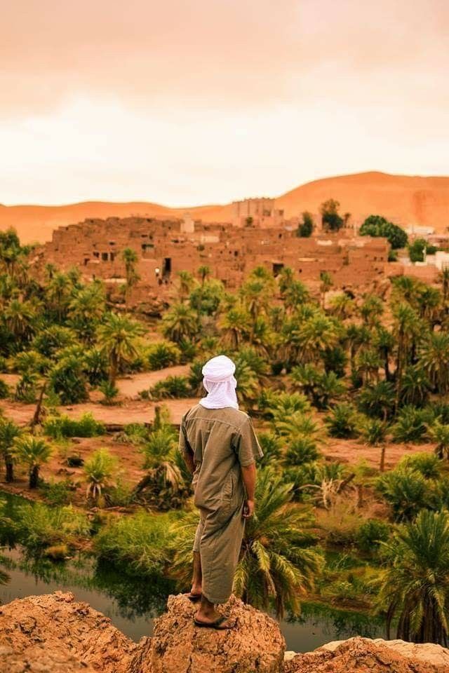 Assamar Tours Assamar Tours