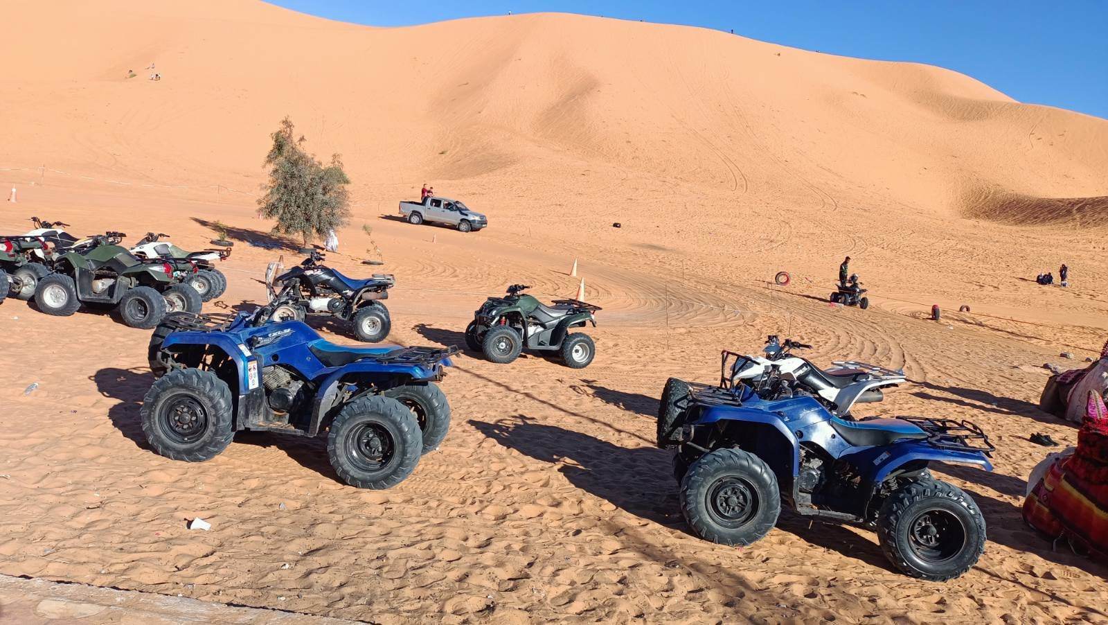 Assamar Tours Assamar Tours